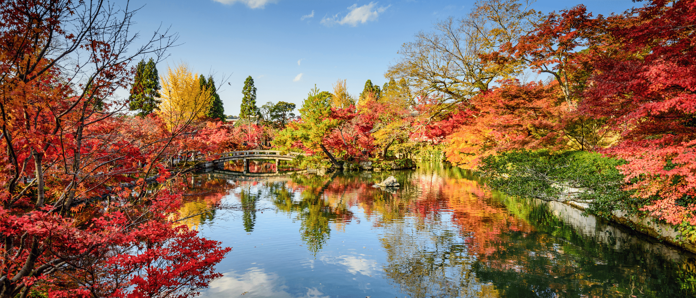 Explore Kyoto